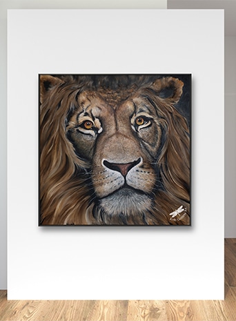 A Lions Gaze A Lions Gaze